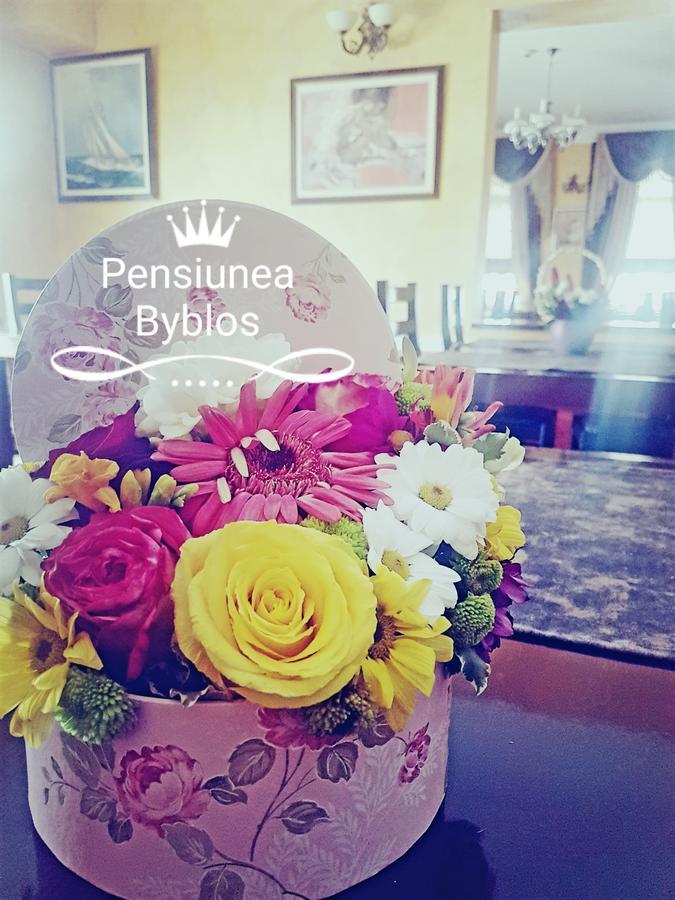 Pensiunea Byblos Piatra Neamt Ngoại thất bức ảnh